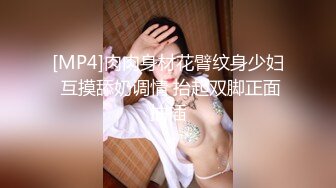 [MP4]肉肉身材花臂纹身少妇 互摸舔奶调情 抬起双脚正面抽插