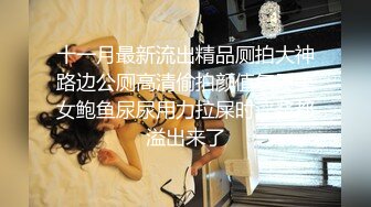 十一月最新流出精品厕拍大神路边公厕高清偷拍颜值气质美女鲍鱼尿尿用力拉屎时淫浆都溢出来了