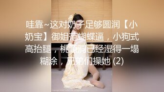 哇靠~这对奶子足够圆润【小奶宝】御姐范蝴蝶逼，小狗式高抬腿，桃源洞已经湿得一塌糊涂，兄弟们操她 (2)