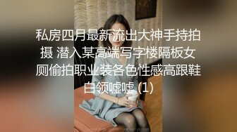 私房四月最新流出大神手持拍摄 潜入某高端写字楼隔板女厕偷拍职业装各色性感高跟鞋白领嘘嘘 (1)