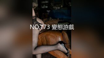 NO.773 變態游戲