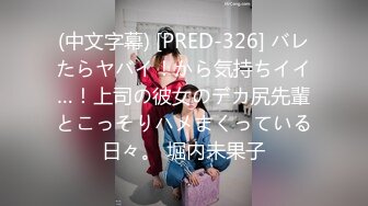 (中文字幕) [PRED-326] バレたらヤバイ！から気持ちイイ…！上司の彼女のデカ尻先輩とこっそりハメまくっている日々。 堀内未果子