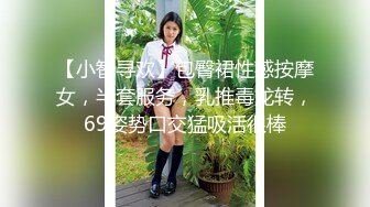 【小智寻欢】包臀裙性感按摩女，半套服务，乳推毒龙转，69姿势口交猛吸活很棒