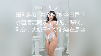 MFK-0026年轻的家政妇