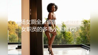 商场女厕全景偷拍 5位黑丝美女职员的多毛小黑鲍 (2)