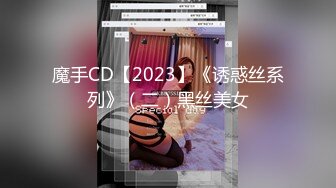 魔手CD【2023】《诱惑丝系列》（二）黑丝美女