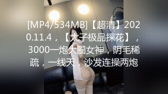 [MP4/534MB]【超清】2020.11.4，【太子极品探花】，3000一炮大圈女神，阴毛稀疏，一线天，沙发连操两炮