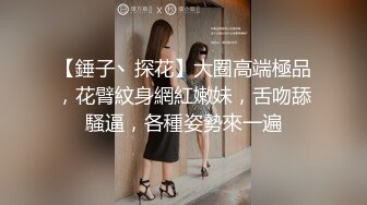 【錘子丶探花】大圈高端極品，花臂紋身網紅嫩妹，舌吻舔騷逼，各種姿勢來一遍