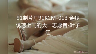 91制片厂91KCM-013 金钱诱惑上门的大一志愿者-叶子红