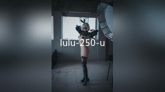 lulu-250-u