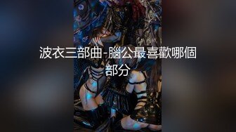 波衣三部曲-腦公最喜歡哪個部分