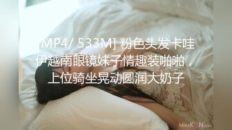 [MP4/ 533M] 粉色头发卡哇伊越南眼镜妹子情趣装啪啪，上位骑坐晃动圆润大奶子