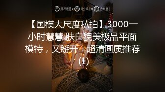 【国模大尺度私拍】3000一小时慧慧 肤白貌美极品平面模特，又掰开，超清画质推荐 (1)