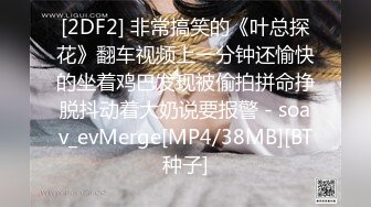 [2DF2] 非常搞笑的《叶总探花》翻车视频上一分钟还愉快的坐着鸡巴发现被偷拍拼命挣脱抖动着大奶说要报警 - soav_evMerge[MP4/38MB][BT种子]