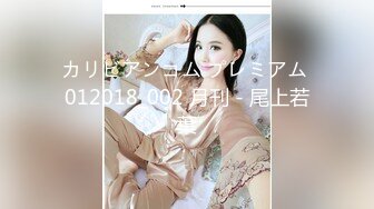 カリビアンコム プレミアム 012018_002 月刊 - 尾上若葉