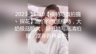 2023-11-10【模特写真拍摄丶探花】高价约气质模特，大奶极品肥穴，掰开特写高清拍摄，摆弄各种姿势3