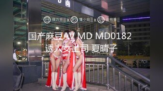 国产麻豆AV MD MD0182 诱人女上司 夏晴子