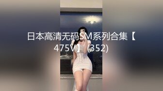 日本高清无码SM系列合集【475V】 (352)